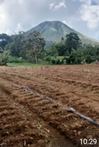 Dijual murah tanah view gunung Lokon di Wailan Tomohon tanah rata jln