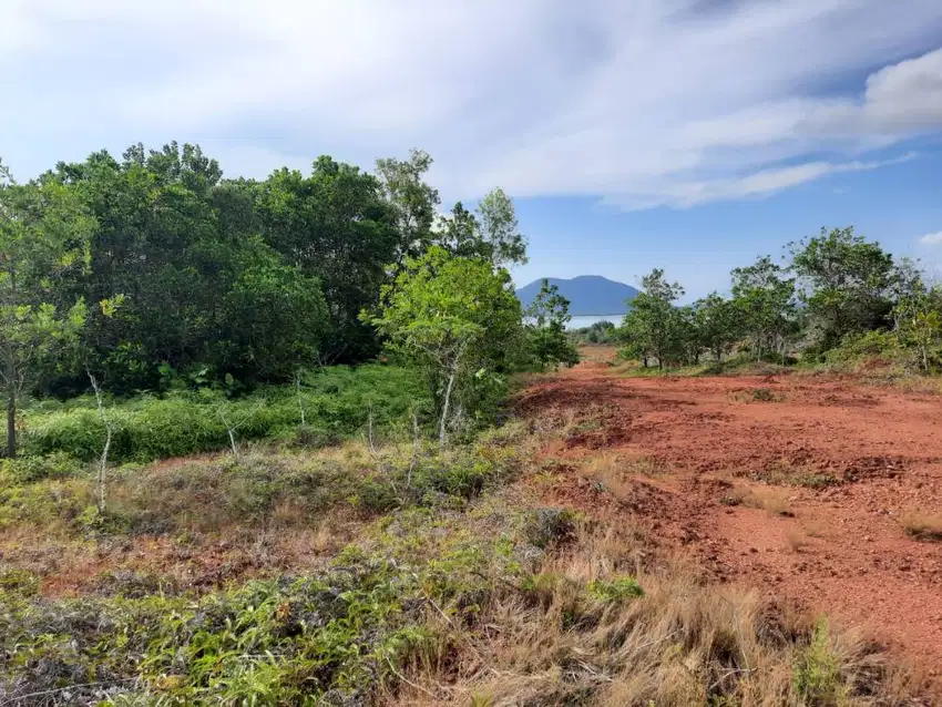 TANAH SHM DIJUAL CEPAT, MURAH, STRATEGIS di Kab. Bintan