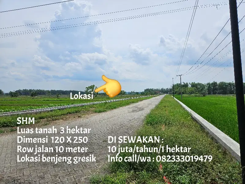 Di sewakan tanah luas 3 hektar 10 juta/tahun