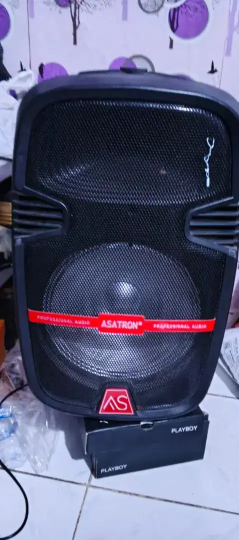 Speaker asatron 12 inci