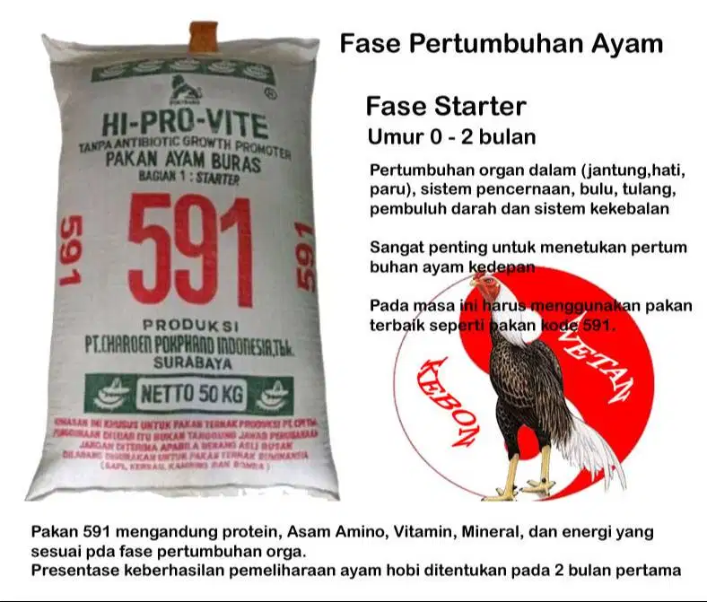 Pakan Ayam CP 591