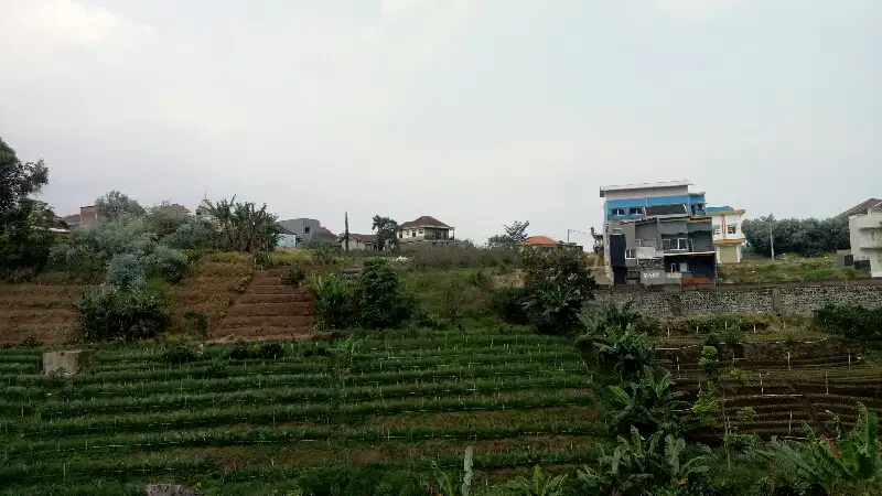 Kebun Sawah View Istimewa Bumiaji Kota Batu