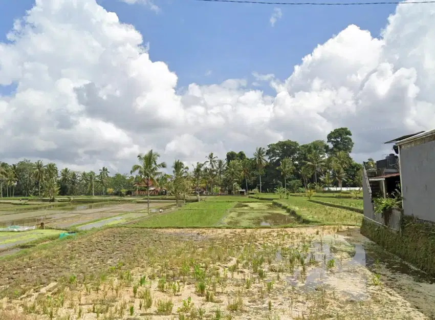 4500 sqm land for sale in Kedisan, Tegallalang