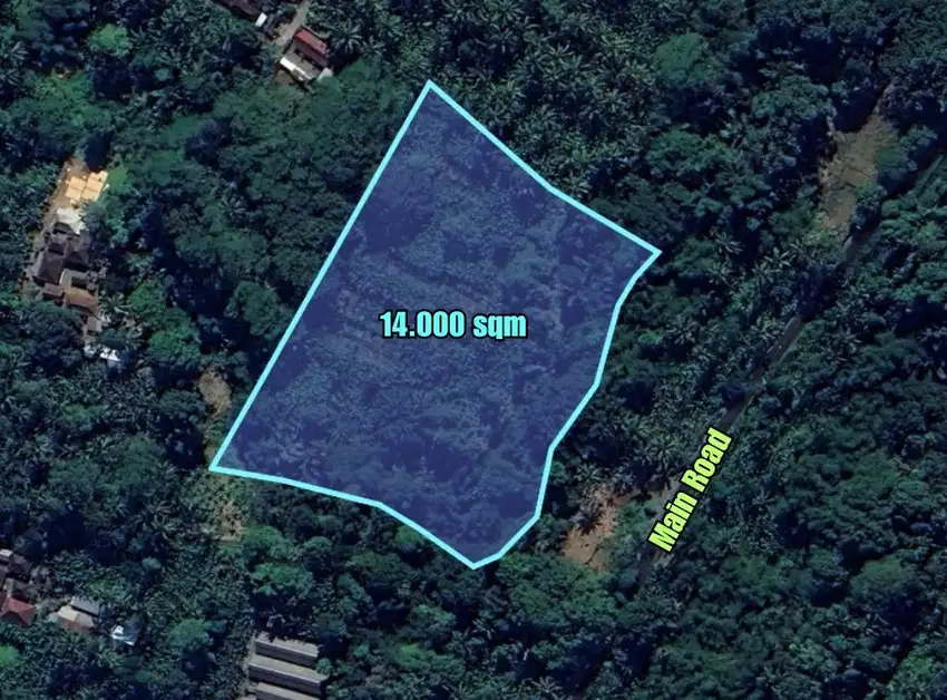 A huge beautiful land of 14000 sqm for sale in Ubud, Bali