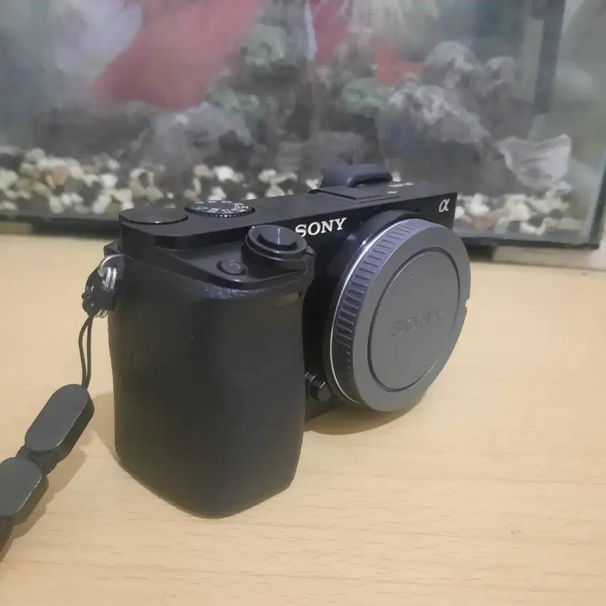 Sony a6000 banyak plusnya