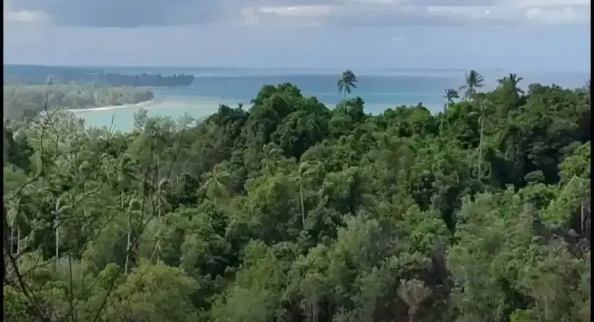 Bukit cocok untuk perkebunan durian / resort