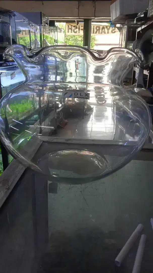 Fish ball /  aquarium bulat