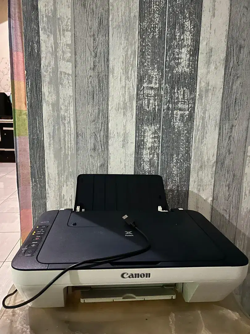 Printer Canon MG2570s