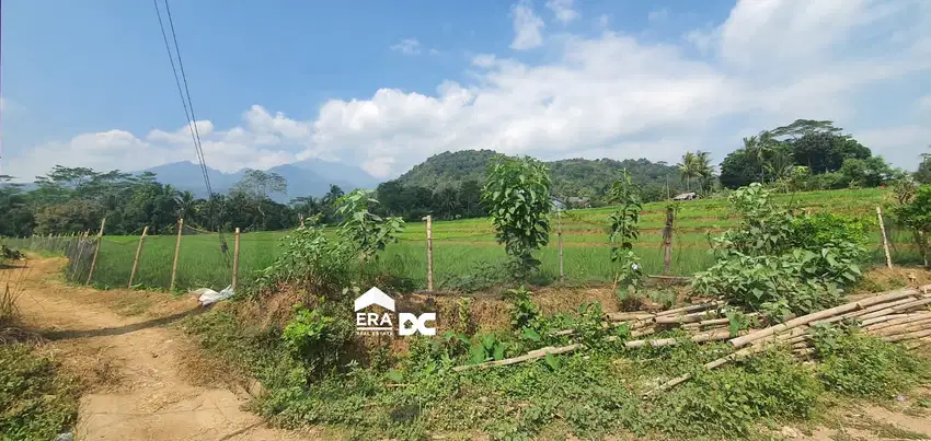 Tanah Sawah Luas Ada Pemandangan Gunung Lebah Boja Kendal