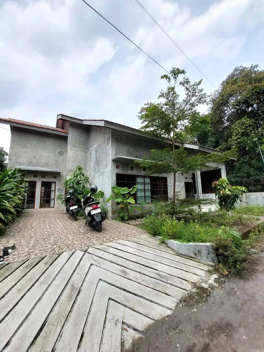 Rumah Natural, Luas dan Adem di Wedomartani