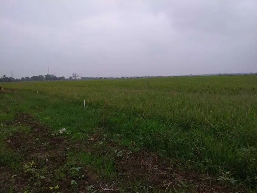 Dijual Tanah di Sarimukti, Cibitung, Bekasi