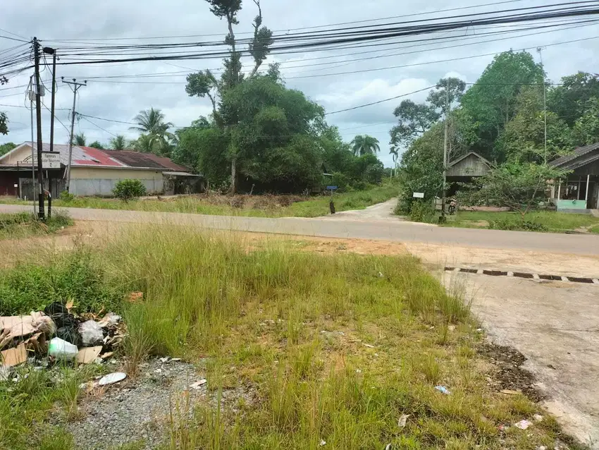 Dijual Tanah Tepi jalan desa Kapur Pontianak Kalimantan