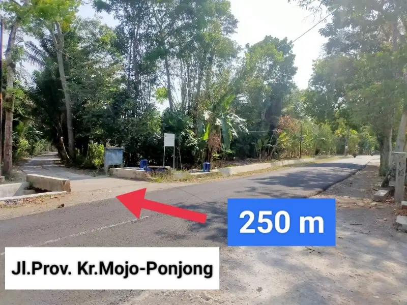 Tanah dijual murah Pekarangan di Srimpi Karangmojo Gunungkidul