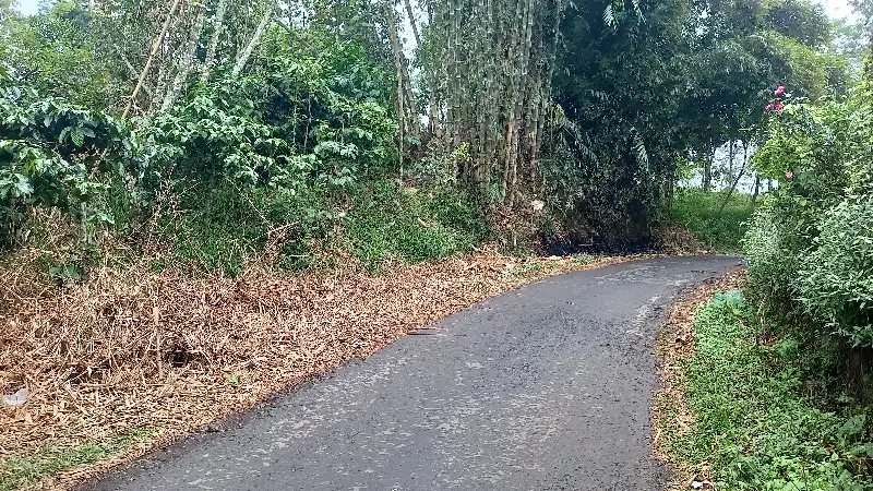 kebun kopi nol jalan tutur