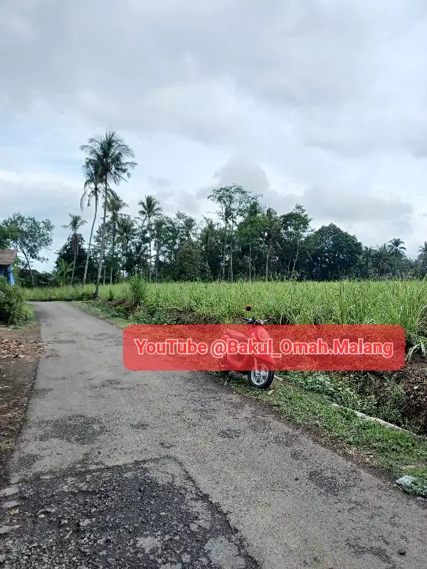 Di Jual Lahan Luas 2H murah SHM Pringgu Kab Malang