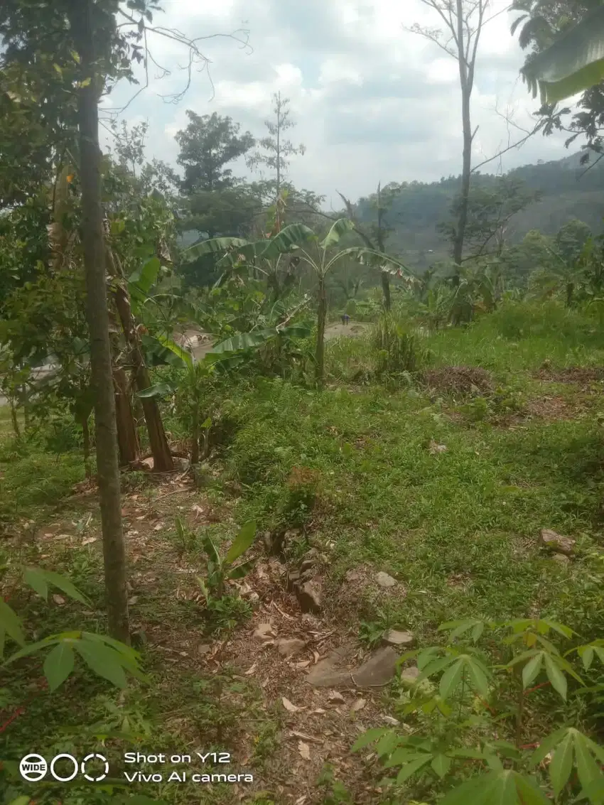 Tanah nempel jalan mobil view pegunungan lepas udara sejuk air subur