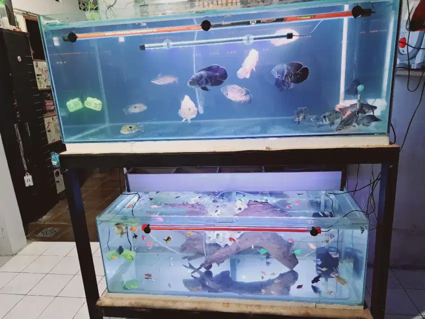 Aquarium susun 2 ukuran 130cm