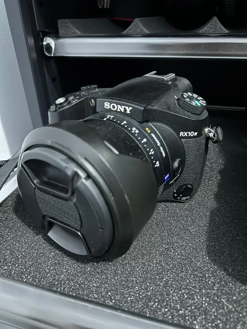 Sony RX 10 iv Pro summer