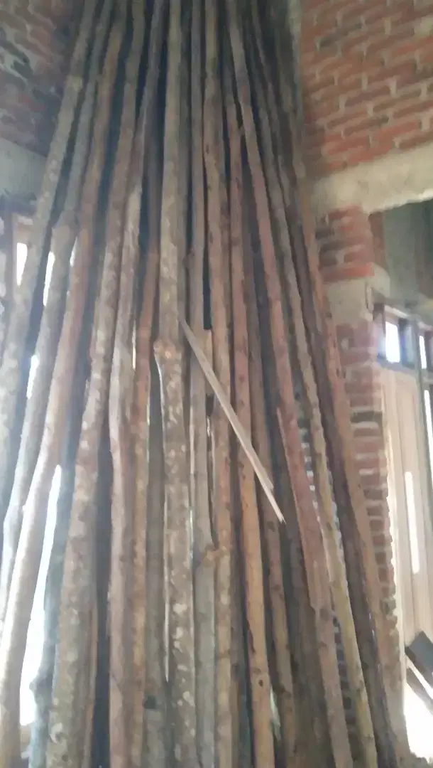 DiJual kayu bulat bekas pakai