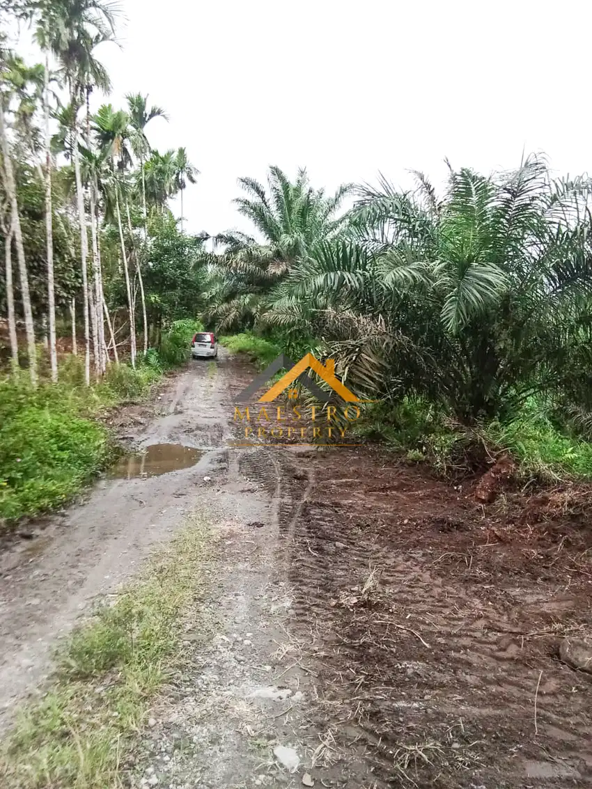 Dijual Tanah di Desa Ujung Deleng  Kecamatan Sibolangit