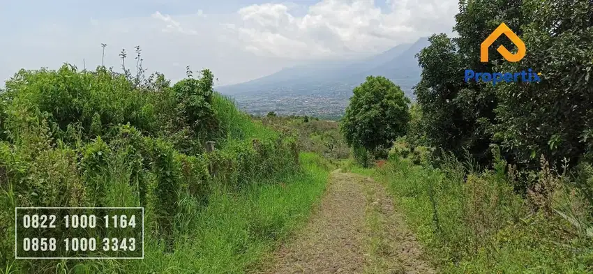 Tanah Kebun Dijual Murah di Kota Batu Malang Bulukerto