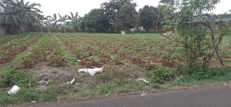 Tanah Pinggir Jalan jual murah lokasi strategis harga terjangkau