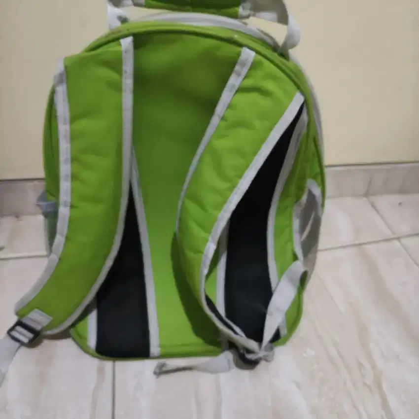 Tas kucing warna hijau