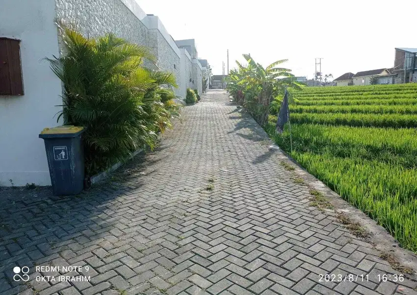 TANAH VIEW SAWAH Jl. SUBAK SARI 10 Gg. Mango Berawa - CANGGU