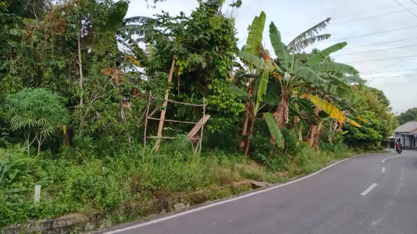 DI JUAL CEPAT TANAH KERABUT LAMBAU KOTA PANGKAL PINANG