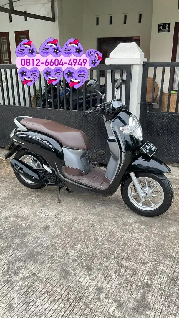 Honda Scoopy scoopy