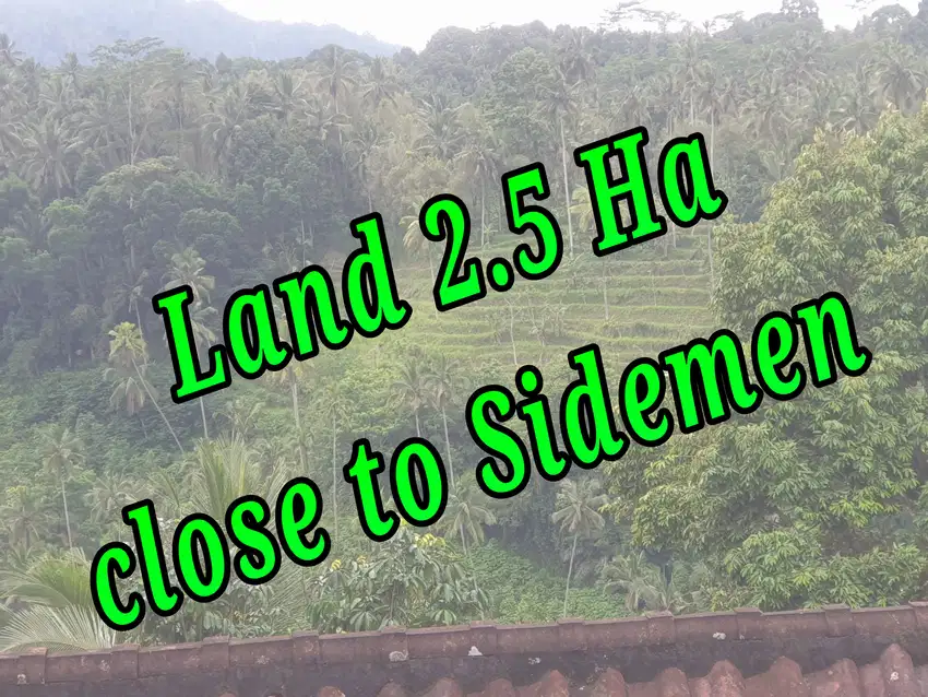 Land for Sale   Location close to Sidemen Traditional Village Bali