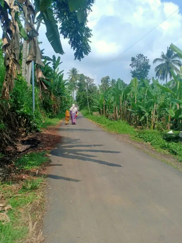 Kebun Poros Aspal Sukoanyar Pakis Malang