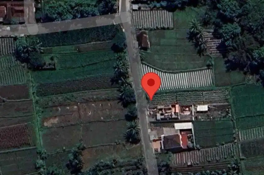 MURAH TANAH SAWAH DI SLEMAN DEKAT JALAN BESI JANGKANG NGEMPLAK JK12991