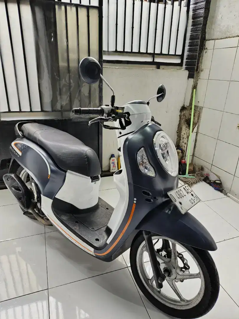 Scoopy new 2023