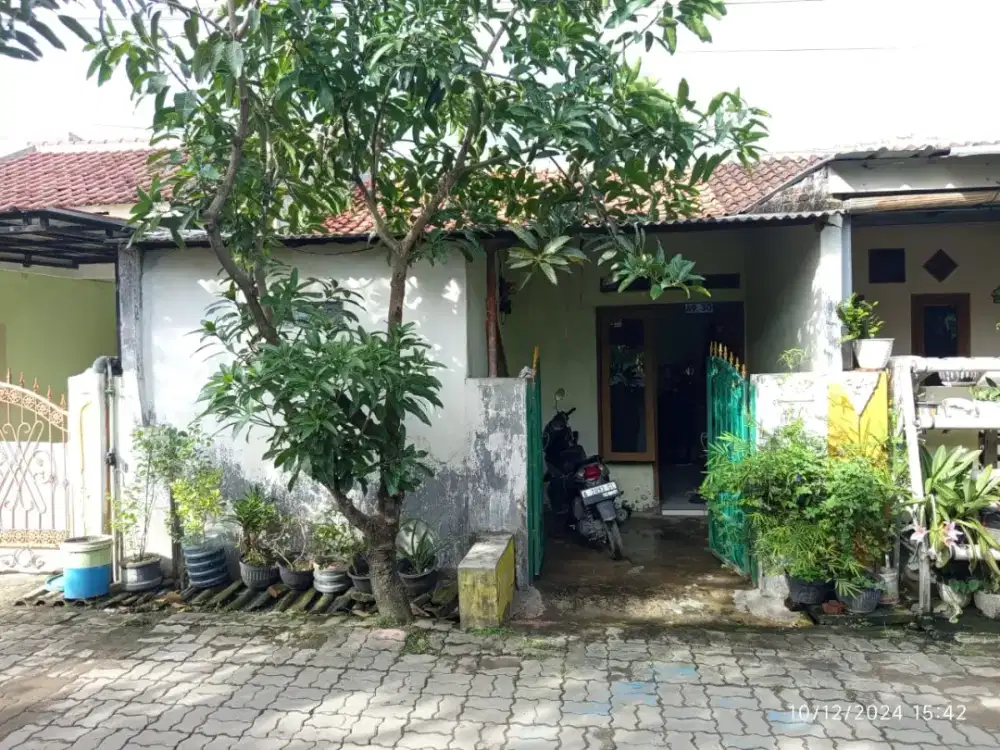 Perumahan bcp 1 ciruas