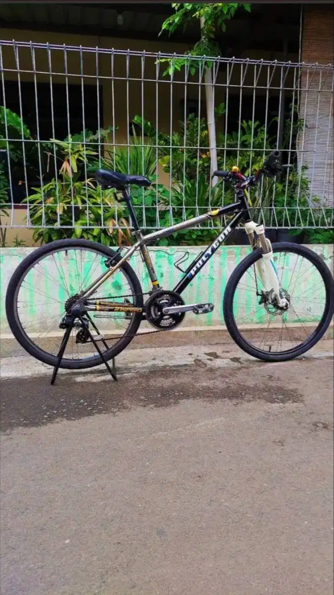 Sepeda Mtb Polygon Premier