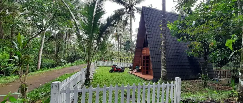 Villa dari kayu dengan tanah luas dekat air terjun , perbukitan , alam