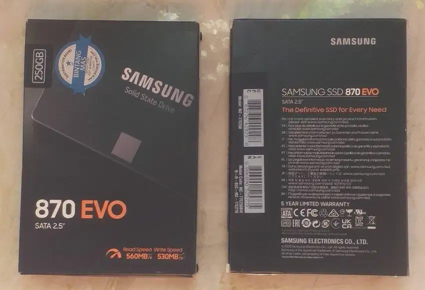 Hardisk SAMSUNG SSD 870 EVO 2.5 250Gb (baru/Segel)