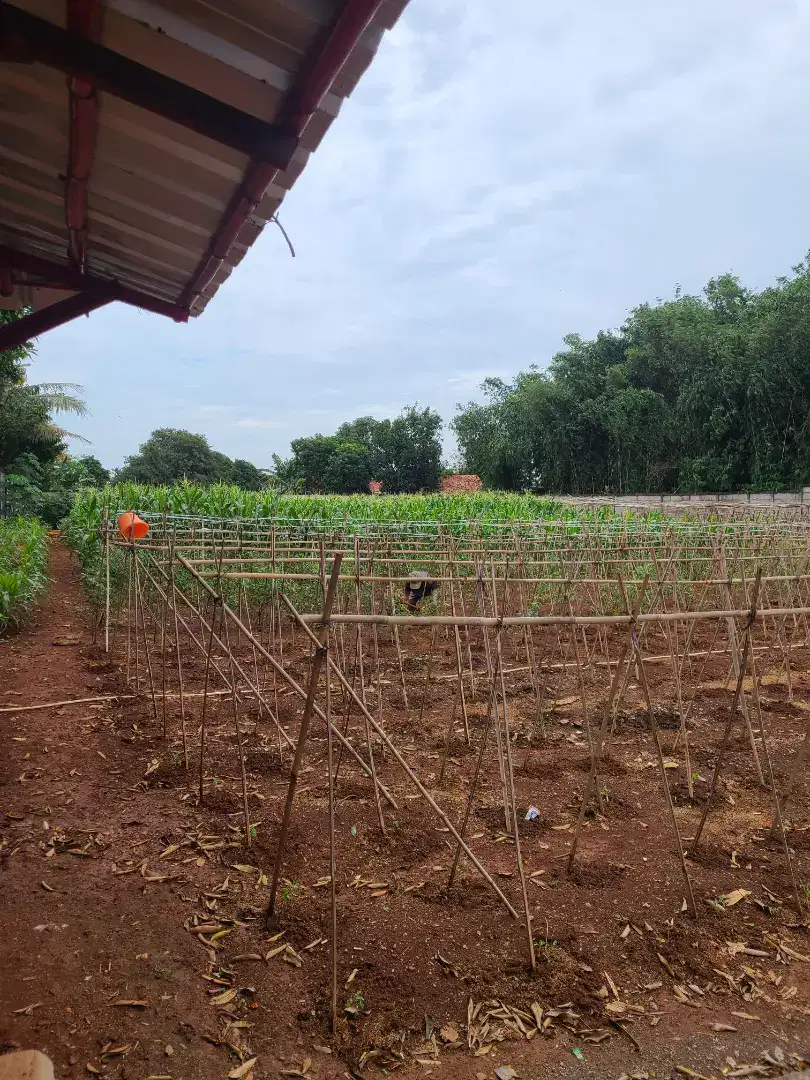 Disewakan lahan di pasir angin