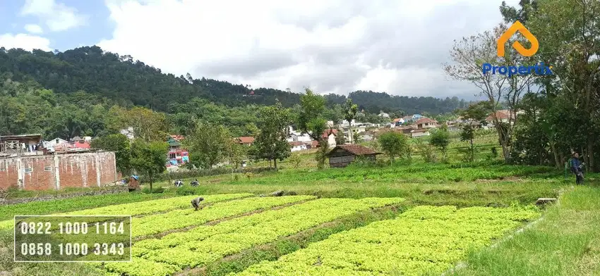 Cepet-cepetan Tanah Murah View Istimewa jl Metro Batu