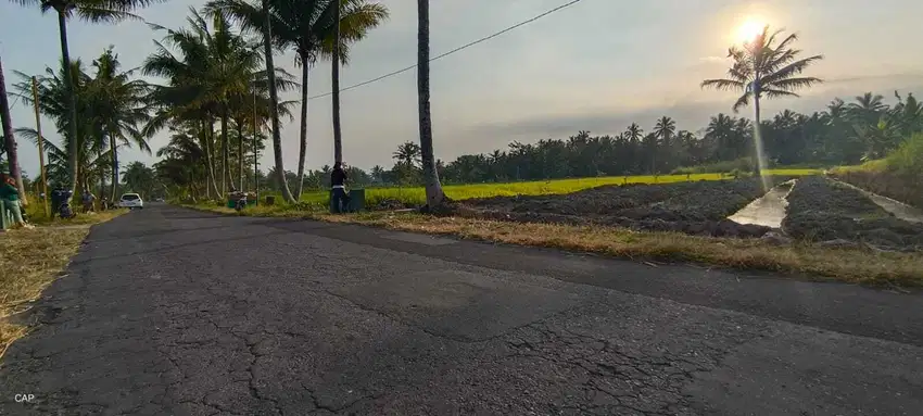 Tanah sawah view cantik jalan Boyong