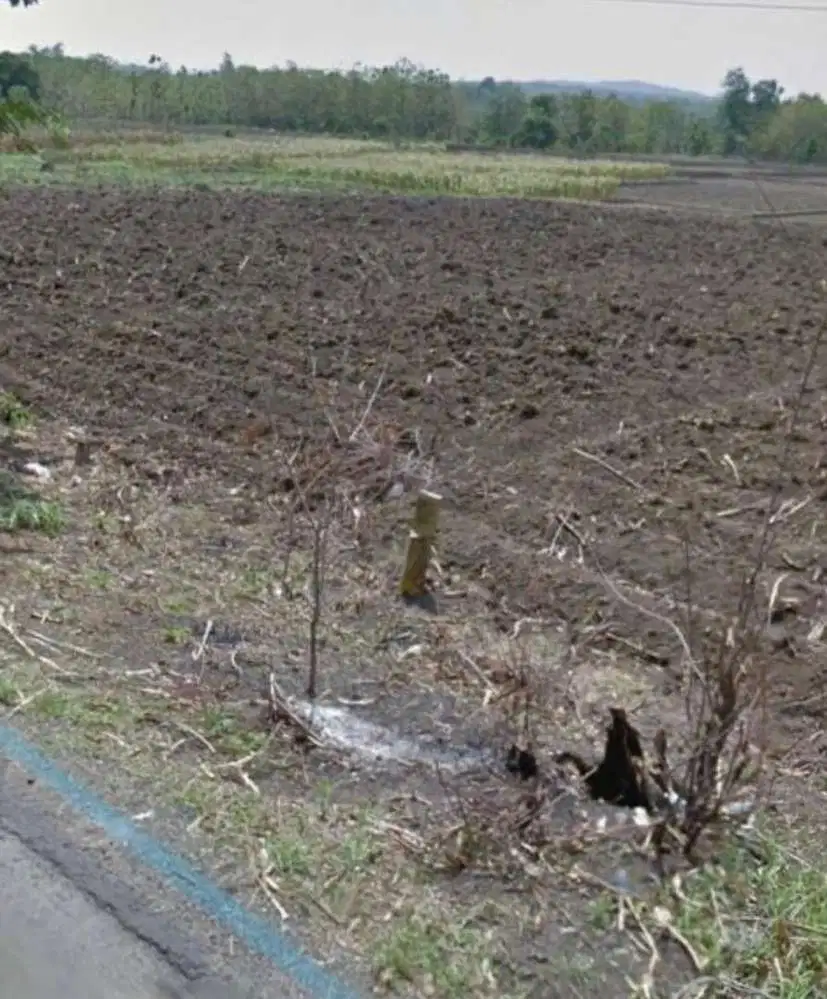 Dijual Tanah Mojokerto jalan raya mojokerto lamongan