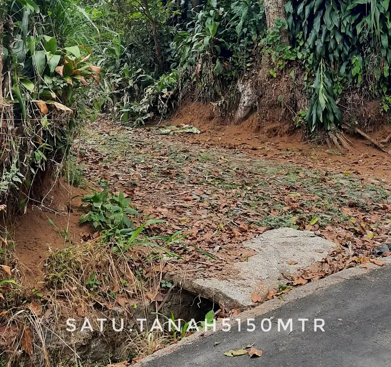 Dijual sebidang tanah luas subur pinggir jalan investasi cuan