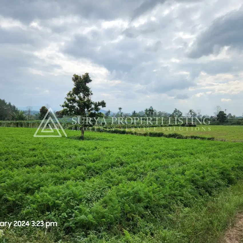 Tanah Jalan SukaNaLu BarusJahe Karo Sumatera Utara