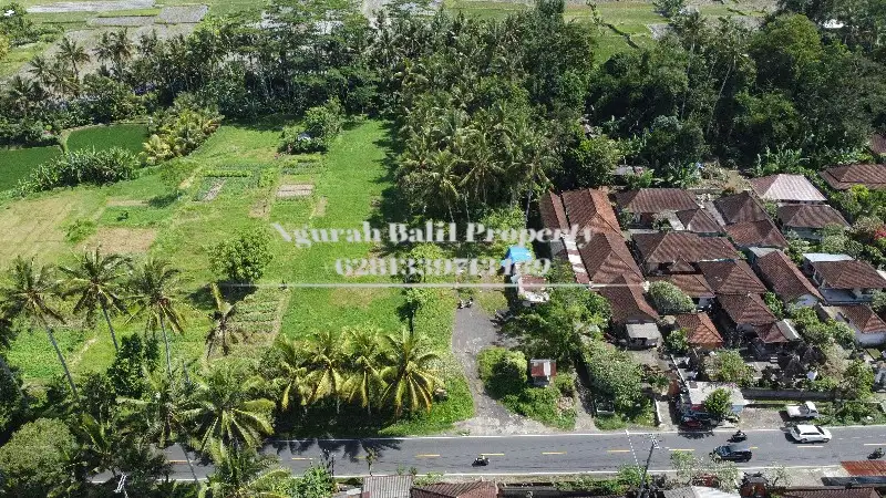 Disewa Tanah Luas Tanah 2100 m2 View Sawah & Jungle  di Ubud Pejeng