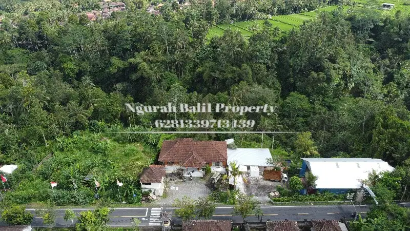 Land For Sale Murah  Luas  2600 m2 Jungle & Sungai di Ubud