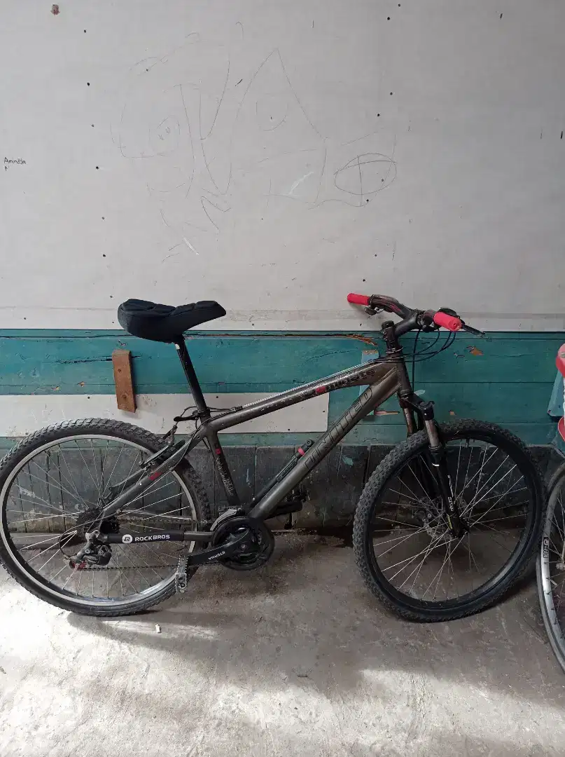 Mtb United 26 size