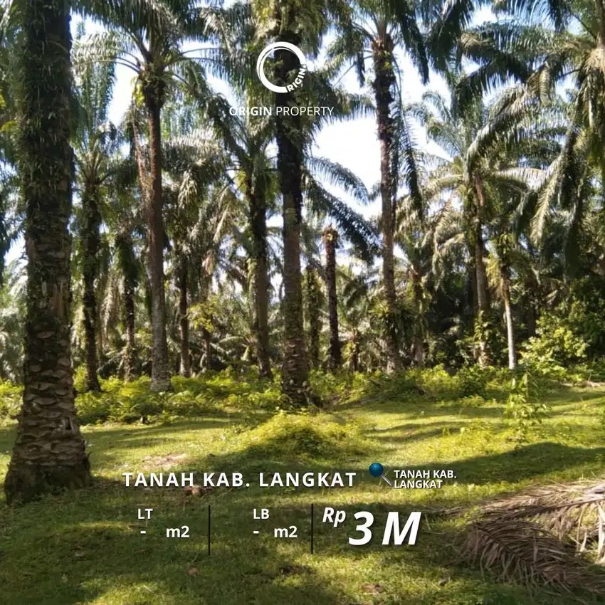 Dijual Murah Tanah di Desa Bekulap Berbatasan Dengan Desa Lau Mulgap