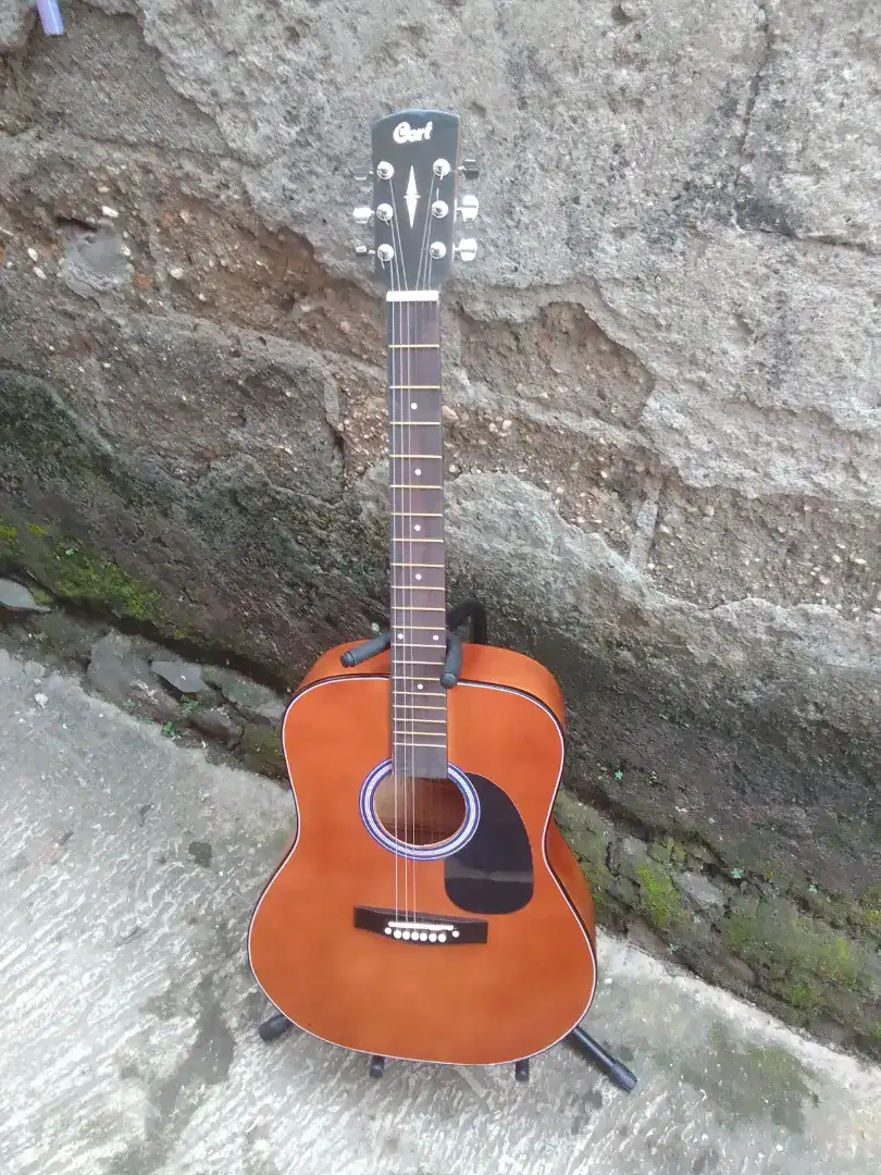 Gitar akustik cort