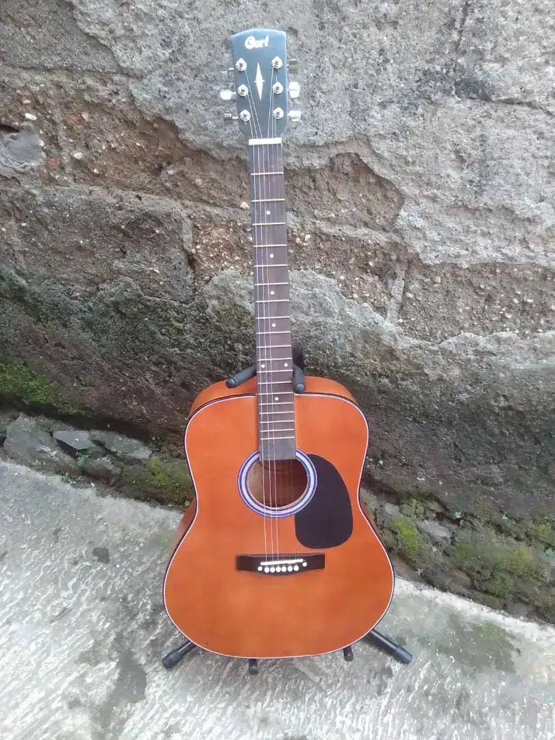 Gitar akustik cort